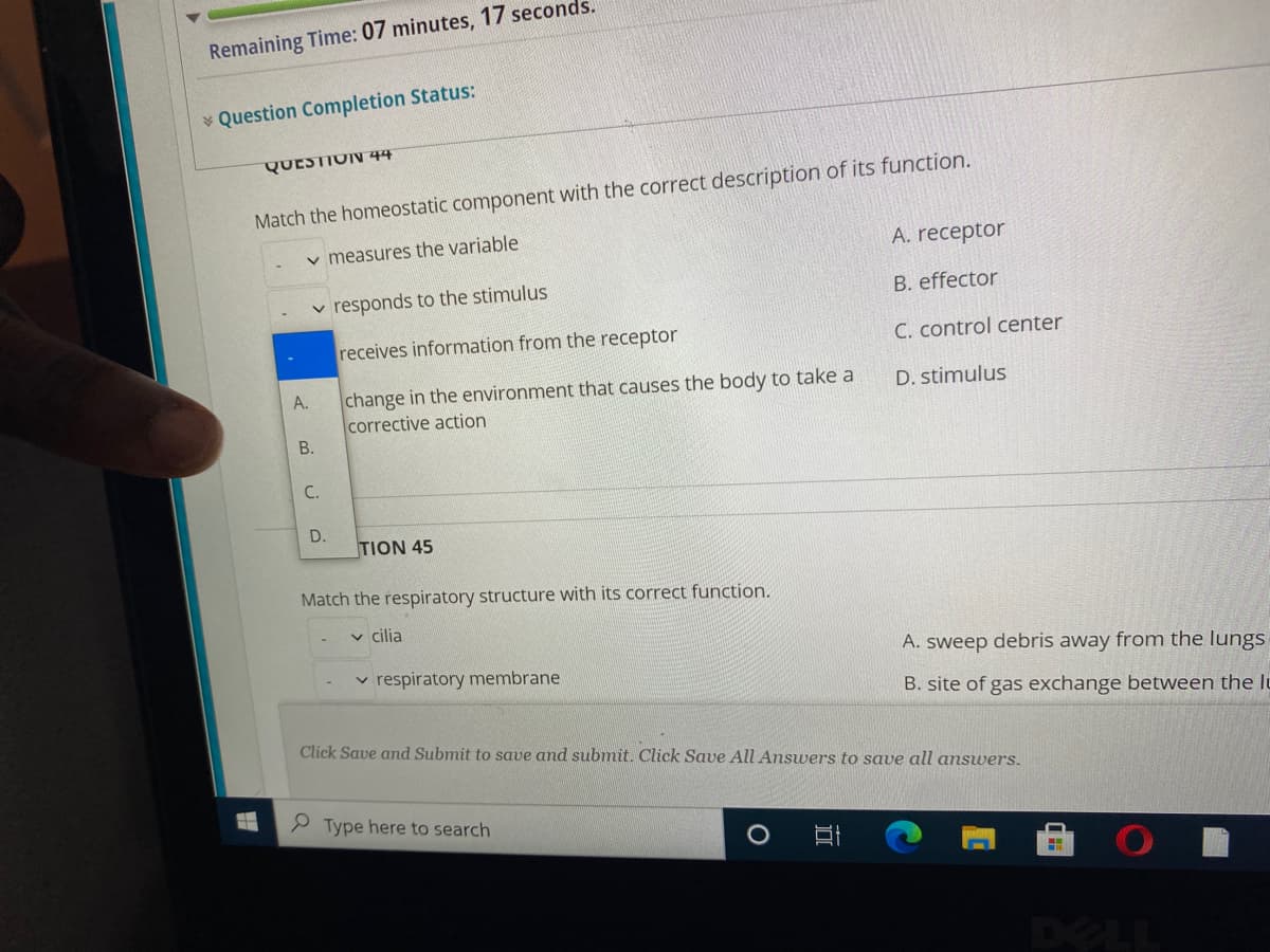 Remaining Time: 07 minutes, 17 seconds.
* Question Completion Status:
QUESTION 44
Match the homeostatic component with the correct description of its function.
v measures the variable
A. receptor
v responds to the stimulus
B. effector
receives information from the receptor
C. control center
change in the environment that causes the body to take a
corrective action
В.
A.
D. stimulus
C.
TION 45
Match the respiratory structure with its correct function.
v cilia
A. sweep debris away from the lungs
v respiratory membrane
B. site of gas exchange between the lu
Click Save and Submit to save and submit. Click Save All Answers to save all answers.
9 Type here to search
DELL
D.
