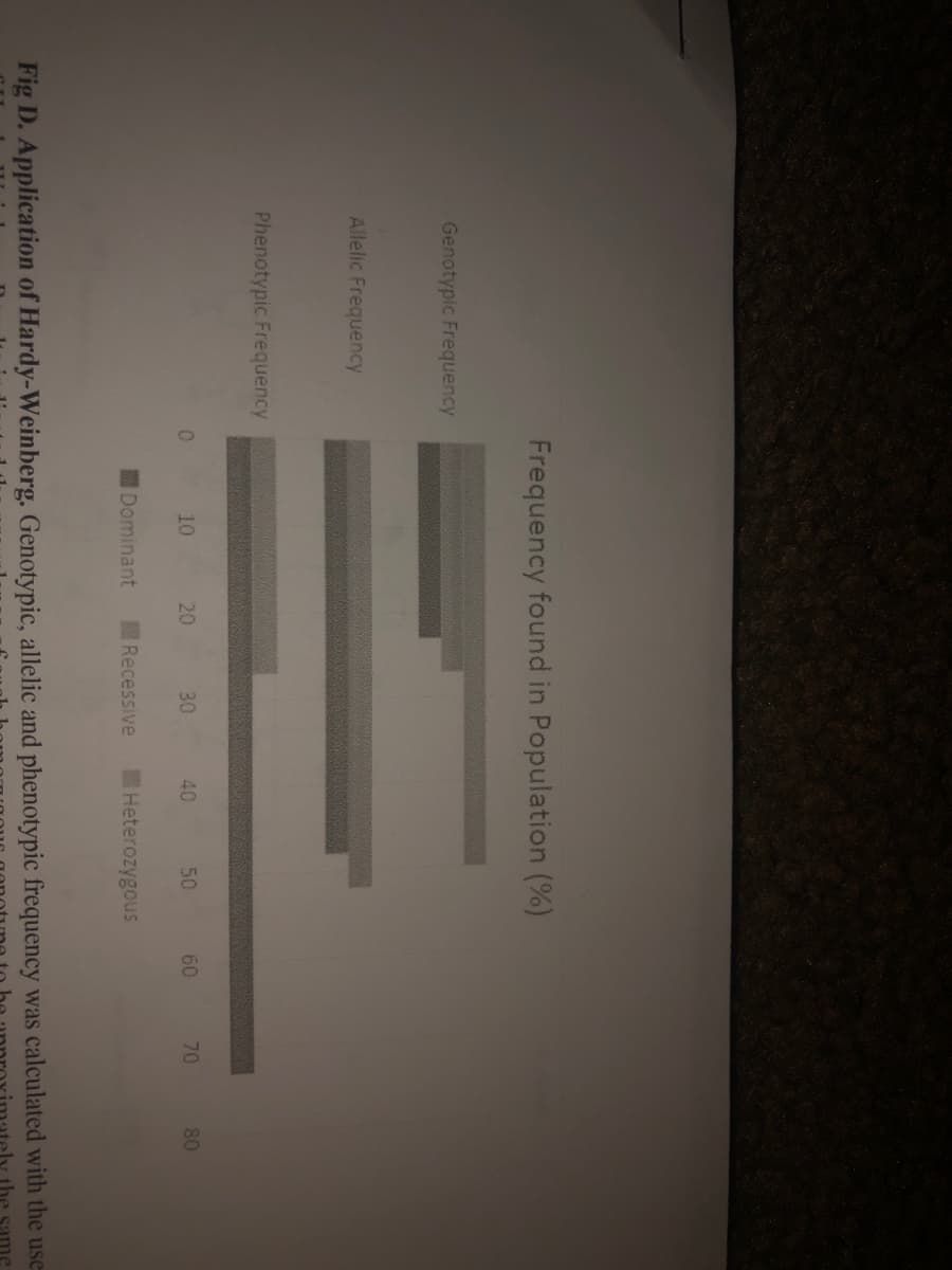 Genotypic Frequency
Allelic Frequency
Phenotypic Frequency
Frequency found in Population (%)
0
10
Dominant
20
30
Recessive
40
50
Heterozygous
60
70
80
Fig D. Application of Hardy-Weinberg. Genotypic, allelic and phenotypic frequency was calculated with the use
same
