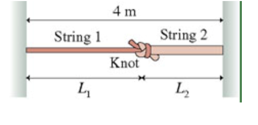 4 m
String 1
String 2
Knot
L2
