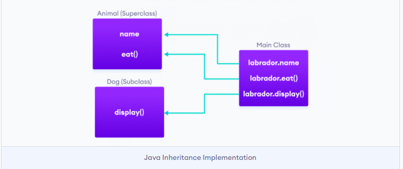 Animal (Superclass)
name
Main Class
eat()
labrador.name
labrador.eat()
Dog (Subclass)
labrador.display()
display()
Java Inheritance Implementation
