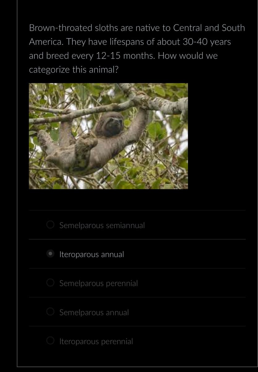 Brown-throated sloths are native to Central and South
America. They have lifespans of about 30-40 years
and breed every 12-15 months. How would we
categorize this animal?
Semelparous semiannual
Iteroparous annual
Semelparous perennial
Semelparous annual
Iteroparous perennial
