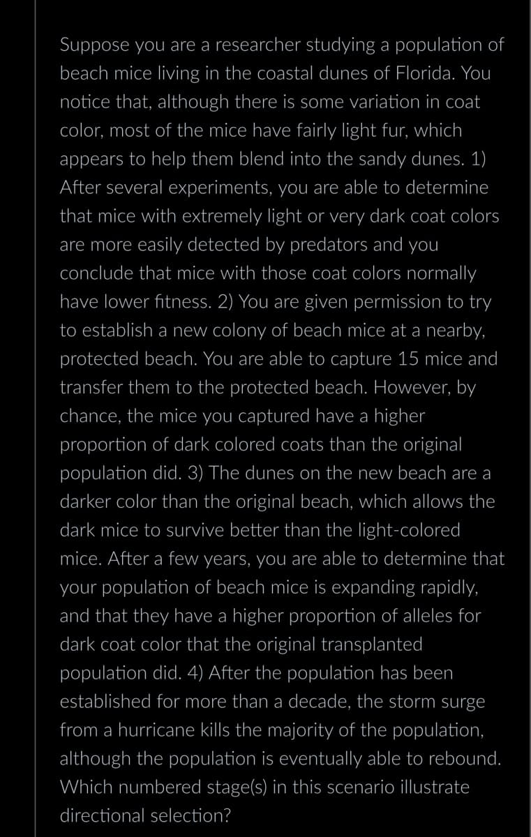 Suppose you are a researcher studying a population of
beach mice living in the coastal dunes of Florida. You
notice that, although there is some variation in coat
color, most of the mice have fairly light fur, which
appears to help them blend into the sandy dunes. 1)
After several experiments, you are able to determine
that mice with extremely light or very dark coat colors
are more easily detected by predators and you
conclude that mice with those coat colors normally
have lower fitness. 2) You are given permission to try
to establish a new colony of beach mice at a nearby,
protected beach. You are able to capture 15 mice and
transfer them to the protected beach. However, by
chance, the mice you captured have a higher
proportion of dark colored coats than the original
population did. 3) The dunes on the new beach are a
darker color than the original beach, which allows the
dark mice to survive better than the light-colored
mice. After a few years, you are able to determine that
your population of beach mice is expanding rapidly,
and that they have a higher proportion of alleles for
dark coat color that the original transplanted
population did. 4) After the population has been
established for more than a decade, the storm surge
from a hurricane kills the majority of the population,
although the population is eventually able to rebound.
Which numbered stage(s) in this scenario illustrate
directional selection?
