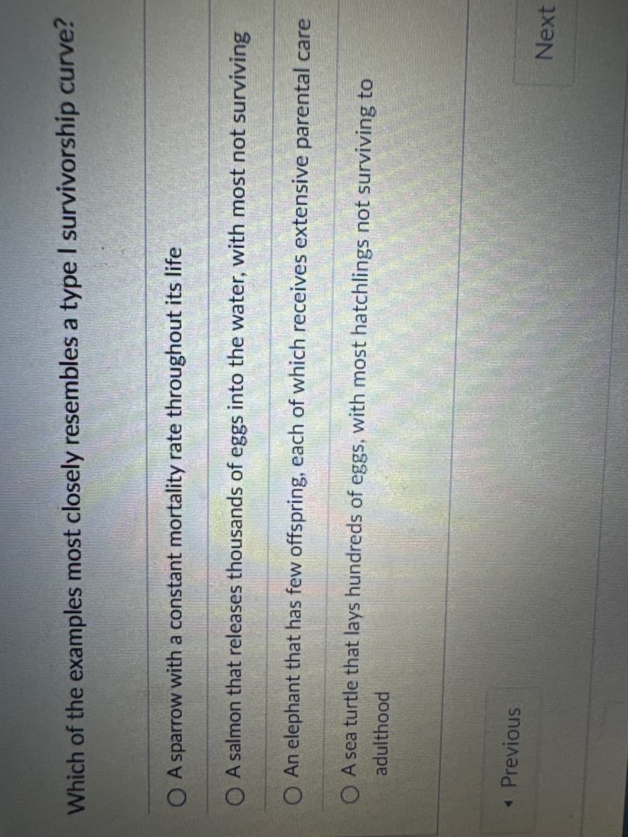 Which of the examples most closely resembles a type I survivorship curve?
OA sparrow with a constant mortality rate throughout its life
OA salmon that releases thousands of eggs into the water, with most not surviving
O An elephant that has few offspring, each of which receives extensive parental care
OA sea turtle that lays hundreds of eggs, with most hatchlings not surviving to
adulthood
◄ Previous
Next