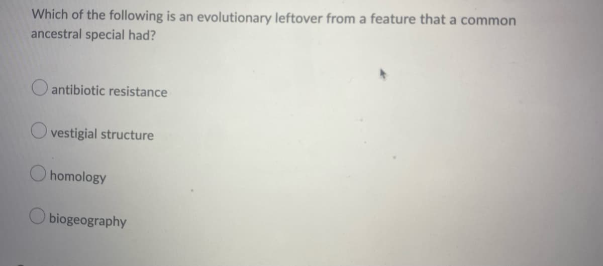 Which of the following is an evolutionary leftover from a feature that a common
ancestral special had?
O antibiotic resistance
O vestigial structure
O homology
O biogeography
