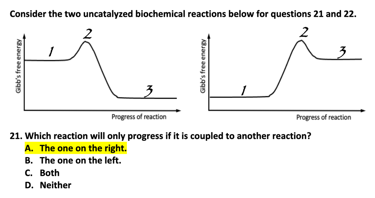 Consider the two uncatalyzed biochemical reactions below for questions 21 and 22.
2
Gibb's free energy
1
IN
2
3
Progress of reaction
Gibb's free energy
1
3
Progress of reaction
21. Which reaction will only progress if it is coupled to another reaction?
A. The one on the right.
B. The one on the left.
C. Both
D. Neither