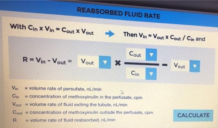 With Cin X Vin = Cout X Vout
Vin
REABSORBED FLUID RATE
R=Vin - Vout =
Vout
X
Then Vin Vout X Cout / Cin and
=
Cout
Cin
= volume rate of persufate, nL/min
= concentration of methoxyinulin in the perfusate, cpm
Cin
Vout volume rate of fluid exiting the tubule, nL/min
Cout= concentration of methoxyinulin outisde the perfusate, cpm
R = volume rate of fluid reabsorbed, nL/min
Vout
CALCULATE