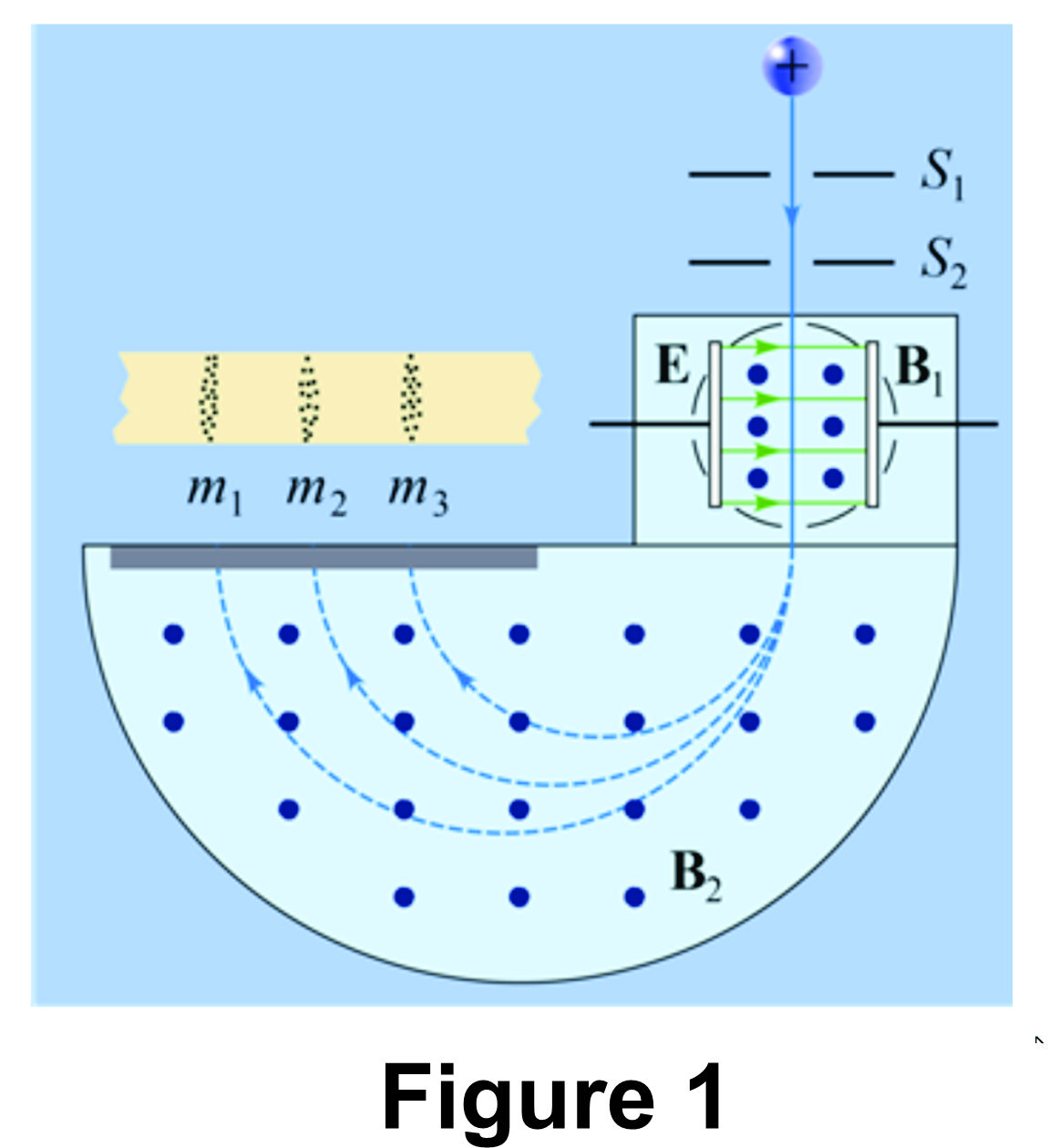 S1
S2
E
B|
m¡ m2 m3
B,
Figure 1
