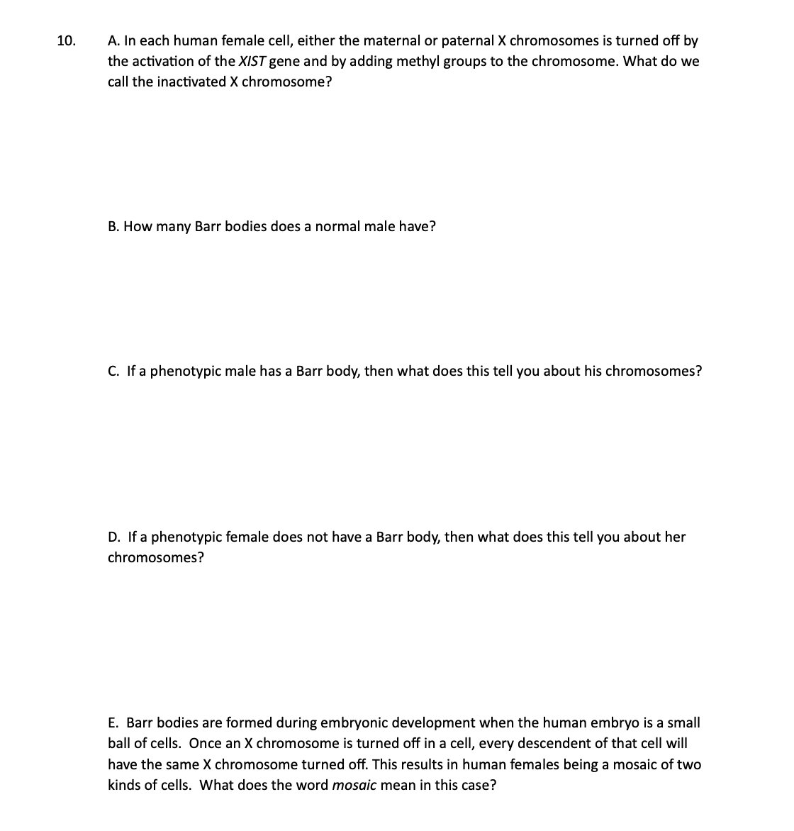 10.
A. In each human female cell, either the maternal or paternal X chromosomes is turned off by
the activation of the XIST gene and by adding methyl groups to the chromosome. What do we
call the inactivated X chromosome?
B. How many Barr bodies does a normal male have?
C. If a phenotypic male has a Barr body, then what does this tell you about his chromosomes?
D. If a phenotypic female does not have a Barr body, then what does this tell you about her
chromosomes?
E. Barr bodies are formed during embryonic development when the human embryo is a small
ball of cells. Once an X chromosome is turned off in a cell, every descendent of that cell will
have the same X chromosome turned off. This results in human females being a mosaic of two
kinds of cells. What does the word mosaic mean in this case?