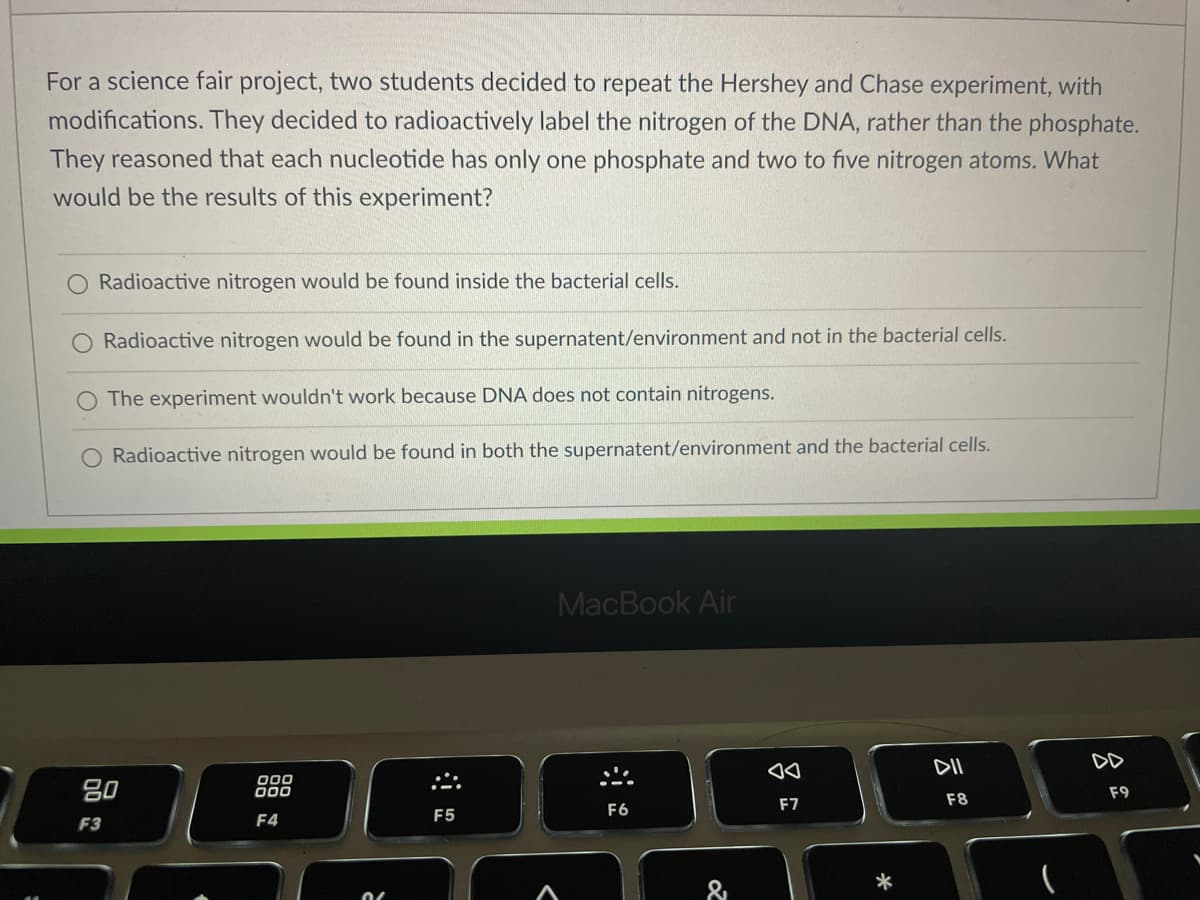 For a science fair project, two students decided to repeat the Hershey and Chase experiment, with
modifications. They decided to radioactively label the nitrogen of the DNA, rather than the phosphate.
They reasoned that each nucleotide has only one phosphate and two to five nitrogen atoms. What
would be the results of this experiment?
O Radioactive nitrogen would be found inside the bacterial cells.
Radioactive nitrogen would be found in the supernatent/environment and not in the bacterial cells.
The experiment wouldn't work because DNA does not contain nitrogens.
O Radioactive nitrogen would be found in both the supernatent/environment and the bacterial cells.
MacBook Air
DII
DD
80
F9
000
F7
F8
F5
F6
F3
F4
*
&
