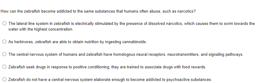 How can the zebrafish become addicted to the same substances that humans often abuse, such as narcotics?
O The lateral line system in zebrafish is electrically stimulated by the presence of dissolved narcotics, which causes them to swim towards the
water with the highest concentration.
O As herbivores, zebrafish are able to obtain nutrition by ingesting cannabinoids.
O The central nervous system of humans and zebrafish have homologous neural receptors, neurotransmitters, and signaling pathways.
O Zebrafish seek drugs in response to positive conditioning; they are trained to associate drugs with food rewards.
O Zebrafish do not have a central nervous system elaborate enough to become addicted to psychoactive substances.
