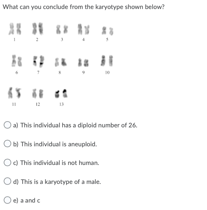 What can you conclude from the karyotype shown below?
2
3
5
7
10
11
12
13
a) This individual has a diploid number of 26.
O b) This individual is aneuploid.
c) This individual is not human.
d) This is a karyotype of a male.
O e) a and c
