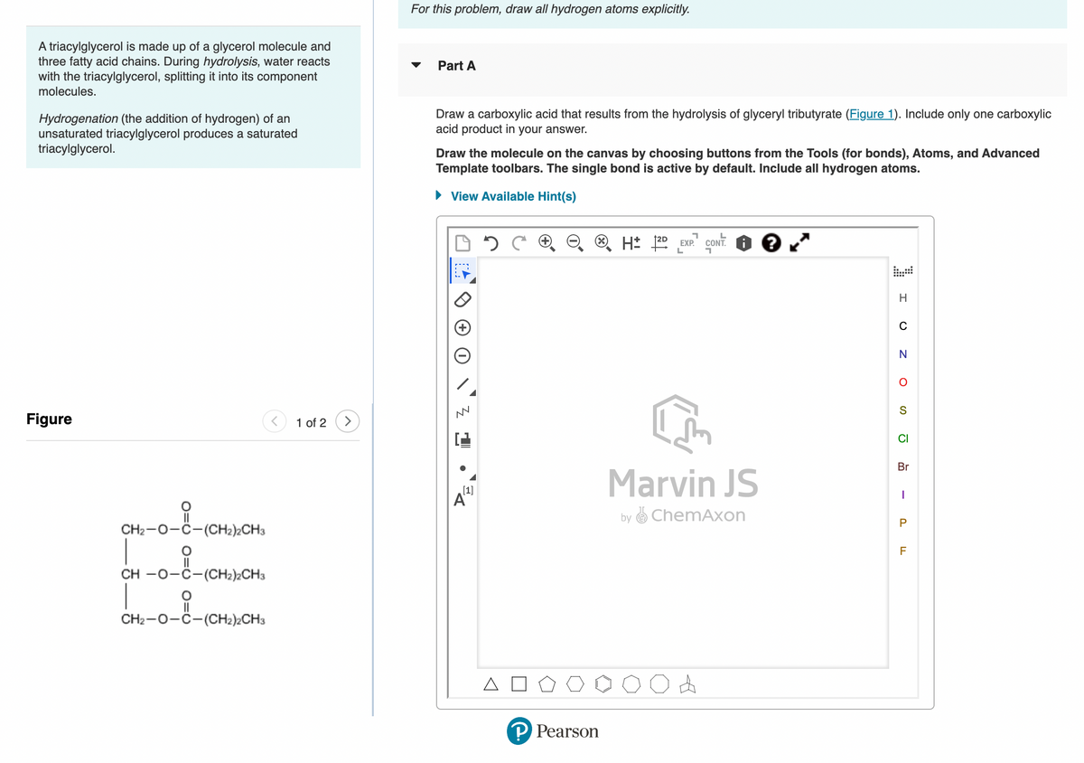 A triacylglycerol is made up of a glycerol molecule and
three fatty acid chains. During hydrolysis, water reacts
with the triacylglycerol, splitting it into its component
molecules.
Hydrogenation (the addition of hydrogen) of an
unsaturated triacylglycerol produces a saturated
triacylglycerol.
Figure
O= 0= 0=U
CH₂-O-C-(CH2)2CH3
CH-O-C-(CH2)2CH3
CH₂-O-C-(CH2)2CH3
1 of 2
For this problem, draw all hydrogen atoms explicitly.
▼
Part A
Draw a carboxylic acid that results from the hydrolysis of glyceryl tributyrate (Figure 1). Include only one carboxylic
acid product in your answer.
Draw the molecule on the canvas by choosing buttons from the Tools (for bonds), Atoms, and Advanced
Template toolbars. The single bond is active by default. Include all hydrogen atoms.
► View Available Hint(s)
z 1
[1]
A
3
P Pearson
H2D EXP. CONT.
Marvin JS
by ChemAxon
A
1
H
C
N
O
S
CI
Br
-
P
F