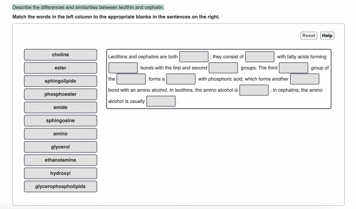 Describe the differences and similarities between lecithin and cephalin.
Match the words in the left column to the appropriate blanks in the sentences on the right.
choline
ester
sphingolipids
phosphoester
amide
sphingosine
amino
glycerol
ethanolamine
hydroxyl
glycerophospholipids
Lecithins and cephalins are both
the
bonds with the first and second
forms a
; they consist of
groups. The third
with phosphoric acid, which forms another
bond with an amino alcohol. In lecithins, the amino alcohol is
alcohol is usually
Reset Help
with fatty acids forming
group of
; in cephalins, the amino