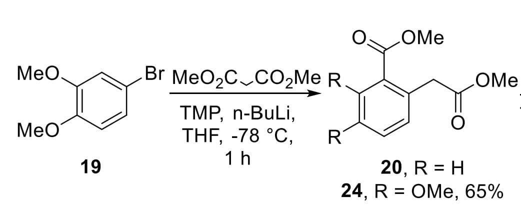 MeO.
MeO
19
Br MeO₂C CO₂Me R
TMP, n-BuLi,
THF, -78 °C,
1 h
R
OMe
OMe
20, R = H
24, R = OMe, 65%