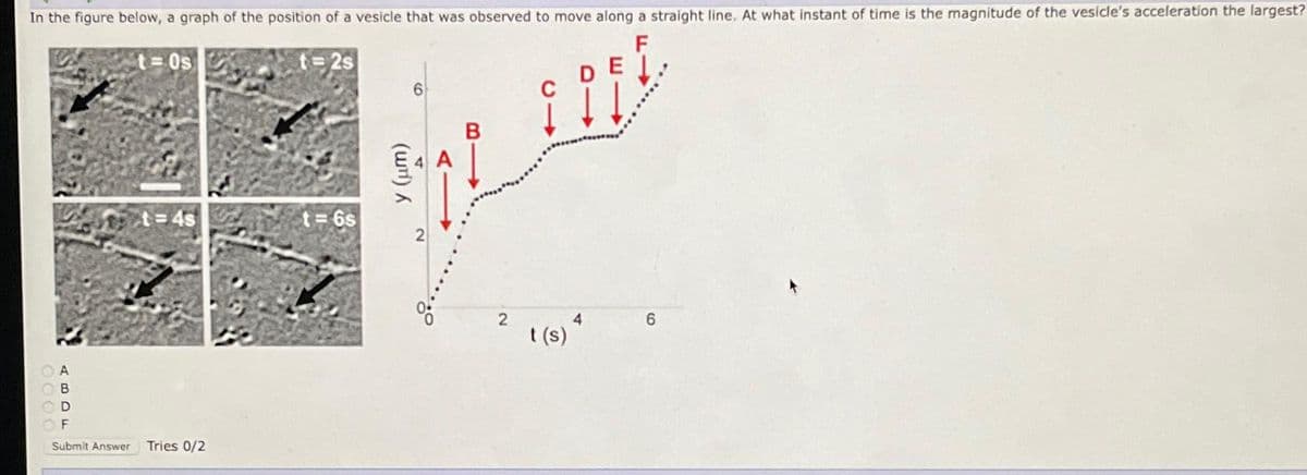 In the figure below, a graph of the position of a vesicle that was observed to move along a straight line. At what instant of time is the magnitude of the vesicle's acceleration the largest?
t=0s
t=2s
E
t=4s
B
D
F
Submit Answer Tries 0/2
t=6s
(w)
6
B
2
t(s)
4
6