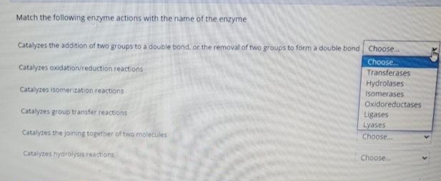 Match the following enzyme actions with the name of the enzyme
Catalyzes the addition of two groups to a double bond, or the removal of two groups to form a double bond Choose.
Choose.
Transferases
Catalyzes oxidation/reduction reactions
Hydrolases
Catalyzes isomerization reactions
somerases
Oxidoreductases
Catalyzes group transfer reactions
Ligases
Lyases
Catalyzes the joining together of two molecules
Choose.
Catalyzes hydrolysis reactions
Choose...
