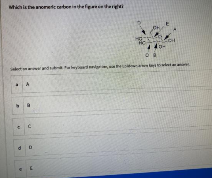 Which is the anomeric carbon in the figure on the right?
A
O -OH
A 4OH
HO
C B
Select an answer and submit. For keyboard navigation, use the up/down arrow keys to select an answer.
a.
b B
d D
