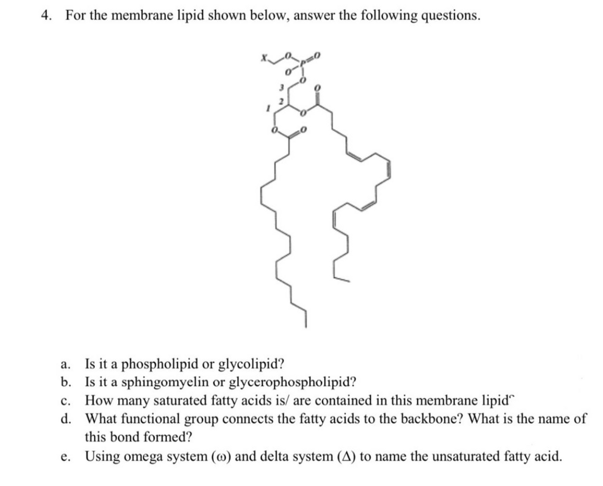 4. For the membrane lipid shown below, answer the following questions.
a. Is it a phospholipid or glycolipid?
b. Is it a sphingomyelin or glycerophospholipid?
c. How many saturated fatty acids is/ are contained in this membrane lipid
d. What functional group connects the fatty acids to the backbone? What is the name of
this bond formed?
e. Using omega system (@) and delta system (A) to name the unsaturated fatty acid.
