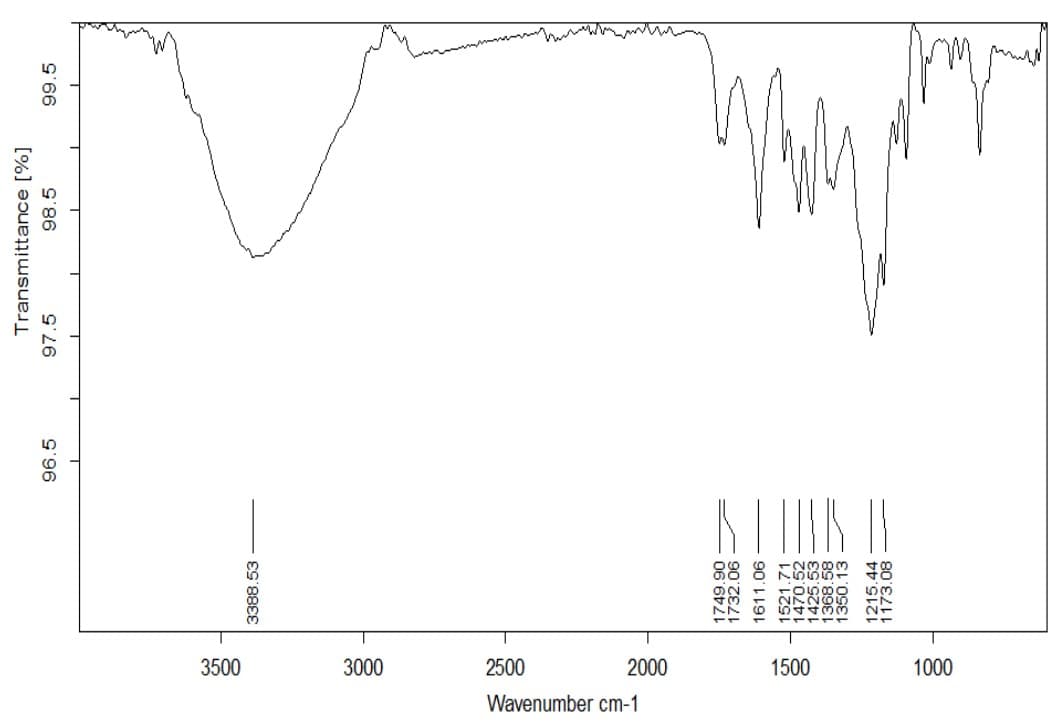 Wavenumber cm-1
3500
3000
2500
2000
1500
1000
3388.53
1749.90
1732.06
1611.06
1521.71
1470.52
1425.53
1368.58
1350.13
1215.44
1173.08
96.5
Transmittance [%]
97.5
98.5
99.5
Ww