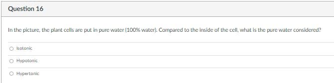 Question 16
In the picture, the plant cells are put in pure water (100% water). Compared to the inside of the cell, what is the pure water considered?
O Isotonic
O Hypotonic
O Hypertonic
