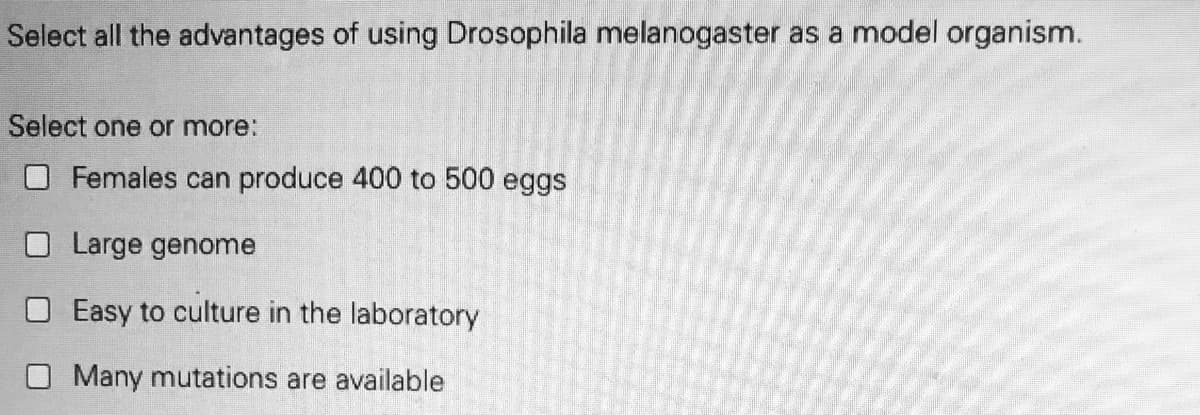 Select all the advantages of using Drosophila melanogaster as a model organism.
Select one or more:
O Females can produce 400 to 500 eggs
O Large genome
O Easy to culture in the laboratory
Many mutations are available
