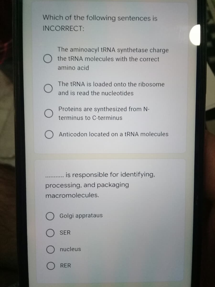 Which of the following sentences is
INCORRECT:
The aminoacyl tRNA synthetase charge
the tRNA molecules with the correct
amino acid
The TRNA is loaded onto the ribosome
and is read the nucleotides
Proteins are synthesized from N-
terminus to C-terminus
O Anticodon located on a RNA molecules
is responsible for identifying,
processing, and packaging
macromolecules.
Golgi apprataus
SER
nucleus
RER
