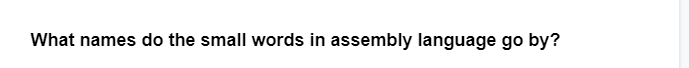 What names do the small words in assembly language go by?