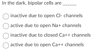 In the dark, bipolar cells are
O inactive due to open Cl- channels
active due to open Na+ channels
inactive due to closed Ca++ channels
active due to open Ca++ channels