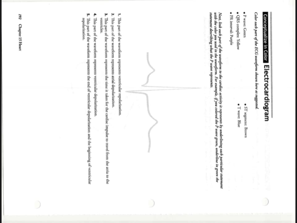 Conceptualize in Color Electrocardiogram
Color each part of the ECG waveform shown bere as suggested.
• P wave: Green
• QRS complex: Yellow
• PR interval: Purple
• ST segment: Brown
•T wave: Blue
Next, link each part of the waveform to the cardiac activity it represents by underlining each particular statement
with the color you sused in the waveform. For example, if you colored the P wave green, underline in green the
statement describing what the P wave represents.
1. This part of the waveform represents ventricular repolarization.
2. This part of the waveform represents atrial depolarization.
3. This part of the waveform represents the time it takes for the cardiac impulse to travel from the atria to the
ventricles.
4. This part of the waveform represents ventricular depolarization.
5. This part of the waveform represents the end of ventricular depolarization and the beginning of ventricular
repolarization.
192 Chapter 15 Heart
