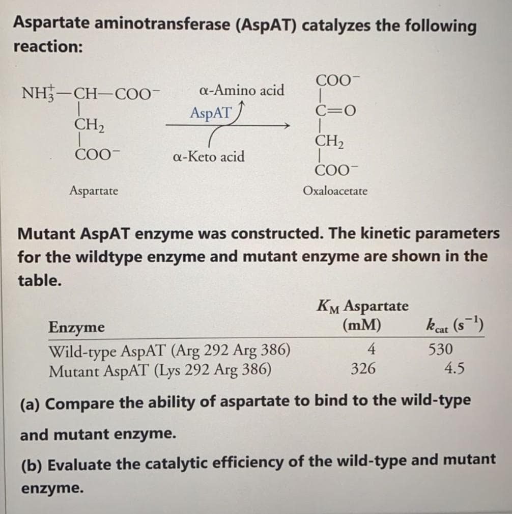 Aspartate aminotransferase (AspAT) catalyzes the following
reaction:
COO
NH3-CH-COO-
a-Amino acid
T
AspAT
C=O
CH₂
CH₂
COO
a-Keto acid
COO
Aspartate
Oxaloacetate
Mutant AspAT enzyme was constructed. The kinetic parameters
for the wildtype enzyme and mutant enzyme are shown in the
table.
KM Aspartate
(mm)
Enzyme
kcat (S-¹)
4
530
Wild-type AspAT (Arg 292 Arg 386)
Mutant AspAT (Lys 292 Arg 386)
326
4.5
(a) Compare the ability of aspartate to bind to the wild-type
and mutant enzyme.
(b) Evaluate the catalytic efficiency of the wild-type and mutant
enzyme.