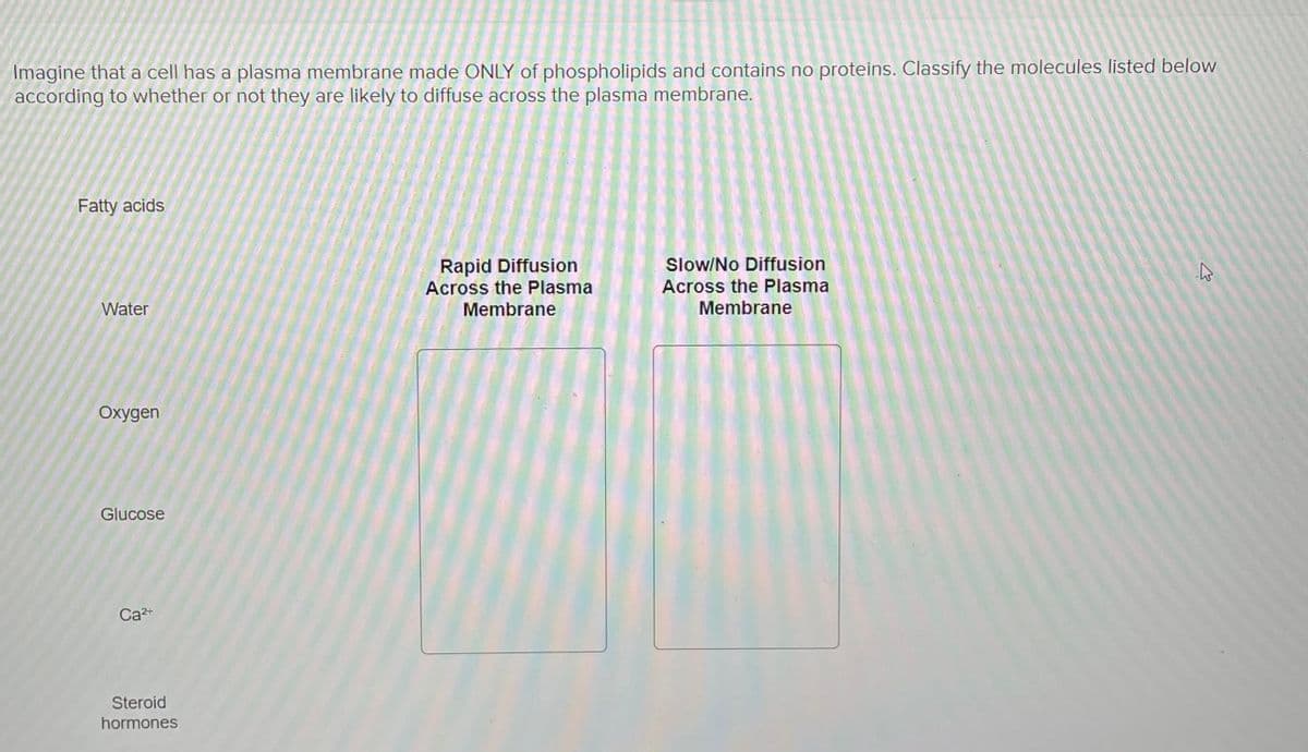 Imagine that a cell has a plasma membrane made ONLY of phospholipids and contains no proteins. Classify the molecules listed below
according to whether or not they are likely to diffuse across the plasma membrane.
Fatty acids
Rapid Diffusion
Across the Plasma
Membrane
Slow/No Diffusion
Across the Plasma
Water
Membrane
Oxygen
Glucose
Ca2+
Steroid
hormones
