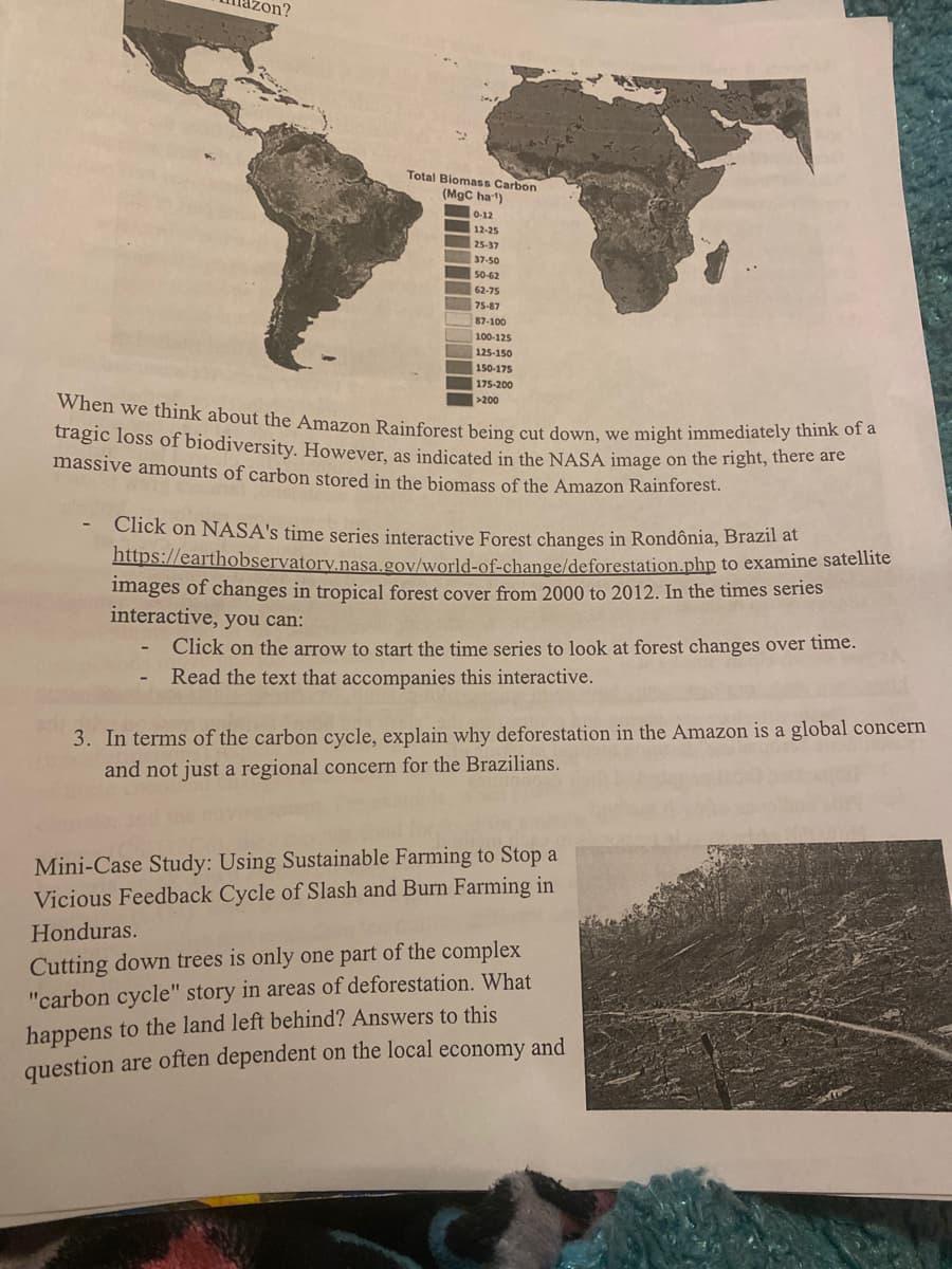 When we think about the Amazon Rainforest being cut down, we might immediately think of a
zon?
Total Biomass Carbon
(MgC ha)
0-12
12-25
25-37
37-50
50-62
62-75
75-87
87-100
100-125
125-150
150-175
175-200
>200
tragic loss of biodiversity. However, as indicated in the NASA image on the right, there a
massive amounts of carbon stored in the biomass of the Amazon Rainforest.
Click on NASA's time series interactive Forest changes in Rondônia, Brazil at
https://earthobservatory.nasa.gov/world-of-change/deforestation.php to examine satellite
images of changes in tropical forest cover from 2000 to 2012. In the times series
interactive, you can:
Click on the arrow to start the time series to look at forest changes over time.
Read the text that accompanies this interactive.
3. In terms of the carbon cycle, explain why deforestation in the Amazon is a global concern
and not just a regional concern for the Brazilians.
Mini-Case Study: Using Sustainable Farming to Stop a
Vicious Feedback Cycle of Slash and Burn Farming in
Honduras.
Cutting down trees is only one part of the complex
"carbon cycle" story in areas of deforestation. What
happens to the land left behind? Answers to this
question are often dependent on the local economy and
