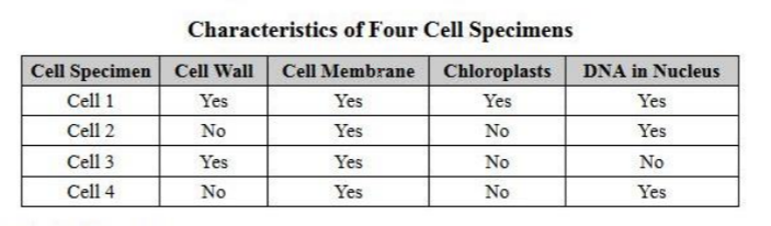 Characteristics of Four Cell Specimens
Cell Specimen Cell Wall
Cell Membrane
Chloroplasts
DNA in Nucleus
Cell 1
Yes
Yes
Yes
Yes
Cell 2
No
Yes
No
Yes
Cell 3
Yes
Yes
No
No
Cell 4
No
Yes
No
Yes
