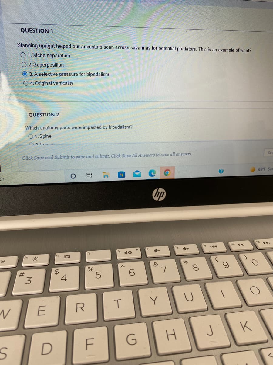 ch
N
S
QUESTION 1
Standing upright helped our ancestors scan across savannas for potential predators. This is an example of what?
01. Niche separation
O2. Superposition
3. A selective pressure for bipedalism
O4. Original verticality
QUESTION 2
Which anatomy parts were impacted by bipedalism?
O 1. Spine
02 Fomur
Sav
Click Save and Submit to save and submit. Click Save All Answers to save all answers.
69°F Sur
CH
ADI
fo
fe 4+
f6 40
#
3
E
D
14
$
IOI
4
fs
%
5
A
+-
&
7
R
T
Y
G
F
H
8
U
O
f10
► 11
f
O
J K