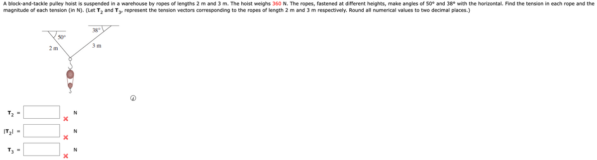 A block-and-tackle pulley hoist is suspended in a warehouse by ropes of lengths 2 m and 3 m. The hoist weighs 360 N. The ropes, fastened at different heights, make angles of 50° and 38° with the horizontal. Find the tension in each rope and the
magnitude of each tension (in N). (Let T₂ and T3, represent the tension vectors corresponding to the ropes of length 2 m and 3 m respectively. Round all numerical values to two decimal places.)
T₂
IT₂1
T3
=
=
=
50°
2 m
X X
X
N
N
N
38°
3 m