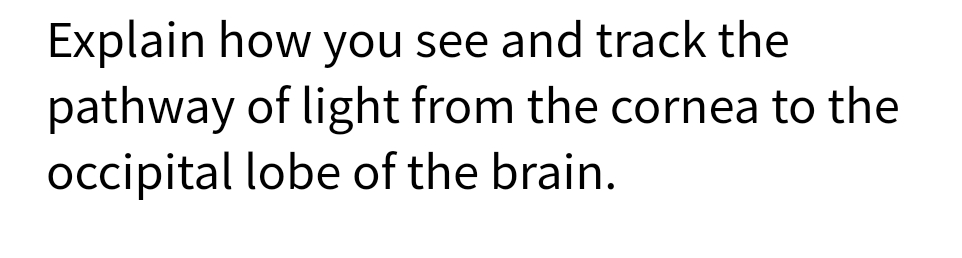 Explain how you see and track the
pathway of light from the cornea to the
occipital lobe of the brain.