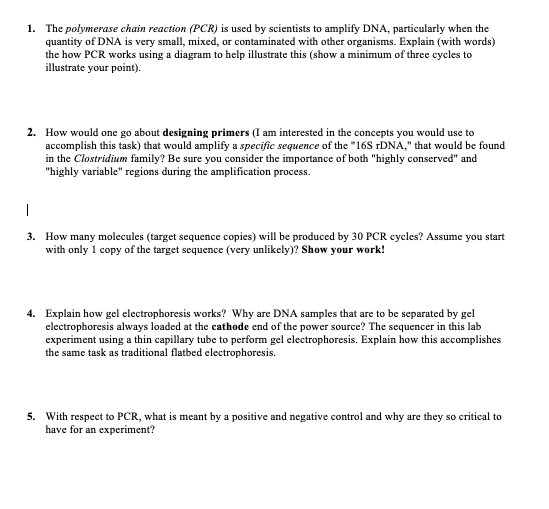 ### Understanding PCR and Its Components

**1. Explanation of Polymerase Chain Reaction (PCR)**

The polymerase chain reaction (PCR) is used by scientists to amplify DNA, particularly when the quantity of DNA is very small, mixed, or contaminated with other organisms. To illustrate how PCR works, the process can be broken down into three main steps that repeat for each cycle:

- **Denaturation:** The double-stranded DNA is heated to around 94-98°C, causing the hydrogen bonds between nucleotide bases to break and the DNA strands to separate into two single strands.
  
- **Annealing:** The temperature is lowered to 50-65°C to allow primers (short sequences of nucleotides) to bind to the complementary sequences of the single-stranded DNA.
  
- **Extension:** The temperature is raised to about 72°C, which is the optimal temperature for Taq polymerase to synthesize a new strand of DNA by adding nucleotides to the primer.

Each cycle doubles the number of DNA molecules, leading to exponential amplification. A visual diagram illustrating at least three cycles of these steps would include:

1. Initial DNA double helix denaturing into two single strands.
2. Primers annealing to these single strands.
3. Taq polymerase extending the DNA from the primers, forming new double-stranded DNA.
   
**2. Designing Primers for Specific Sequence Amplification**

To design primers for amplifying a specific sequence of the "16S rDNA," that would be found in the Clostridium family, you must focus on both the "highly conserved" and "highly variable" regions:

- **Highly Conserved Regions:** These regions show minimal variation across different species, ensuring that primers bind effectively to a broad range of DNA sequences from different Clostridium species.

- **Highly Variable Regions:** These regions show significant variation among different species, allowing differentiation and identification of specific Clostridium species.

Excellent primer design involves:
- Ensuring primers have 18-22 base pairs for adequate specificity.
- Avoiding sequences that can form secondary structures, like hairpins.
- Checking the melting temperatures of the primers to ensure that they anneal at the same temperature.
- Positioning the primers around the conserved flanking regions of the target variable region to ensure amplification.

**3. Target Sequence Copies by 30 PCR Cycles**

Starting with a single copy of the target sequence, after 30 PCR cycles, the number of molecules can be