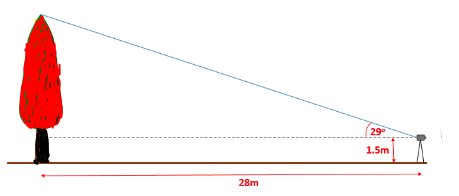 29
1.5m
28m
