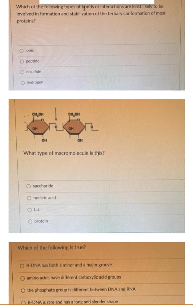 Which of the following types of bonds or interactions are least likely to be
involved in formation and stabilization of the tertiary conformation of most
proteins?
O ionic
O peptide
O disulfide
O hydrogen
CH,OH
OH
CH₂OH
OH
OH
OH
What type of macromolecule is this?
O saccharide
O nucleic acid
O fat
protein
Which of the following is true?
O B-DNA has both a minor and a major groove
O amino acids have different carboxylic acid groups
O the phosphate group is different between DNA and RNA
OB-DNA is rare and has a long and slender shape