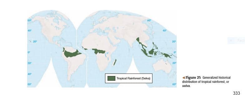 60
40
40
* 20
20
20
20
40
Figure 25 Generalized historical
distribution of tropical rainforest, or
selva.
Tropical Rainforest (Selva)
60
60
333
