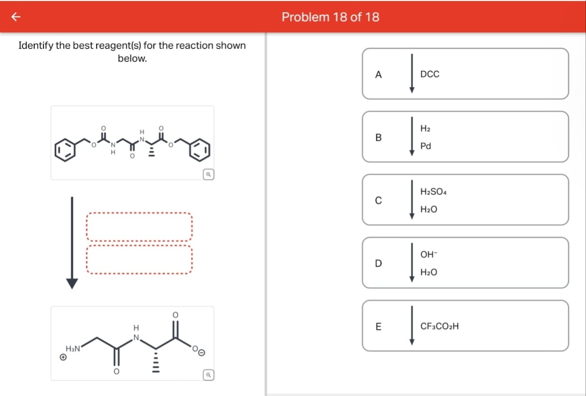 Identify the best reagent(s) for the reaction shown
below.
Problem 18 of 18
Q
A
DCC
B
0
に
H2
Pd
H2SO4
H2O
он-
D
H2O
E
CF3CO2H
N.
HзN'