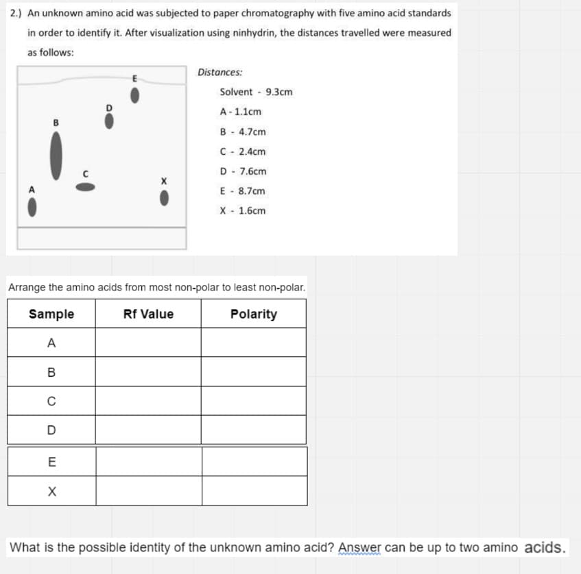 2.) An unknown amino acid was subjected to paper chromatography with five amino acid standards
in order to identify it. After visualization using ninhydrin, the distances travelled were measured
as follows:
Distances:
Solvent 9.3cm
A- 1.1cm
B - 4.7cm
C - 2.4cm
D - 7.6cm
E - 8.7cm
X - 1.6cm
Arrange the amino acids from most non-polar to least non-polar.
Sample
Rf Value
Polarity
A
E
What is the possible identity of the unknown amino acid? Answer can be up to two amino acids.
