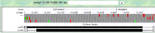 contig1:10,100-10,600 501 bp.
200 beses
10,250
Scac
emJgere
cantigi
10,200
11
45ם1
10,500
10,550
--
FlyBase Genes
tra-RE EE
ra RA
