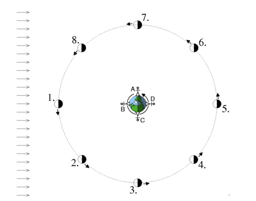 1.
8.
2.
B
AS
7.
5C
3.
D
6.
4.
5.