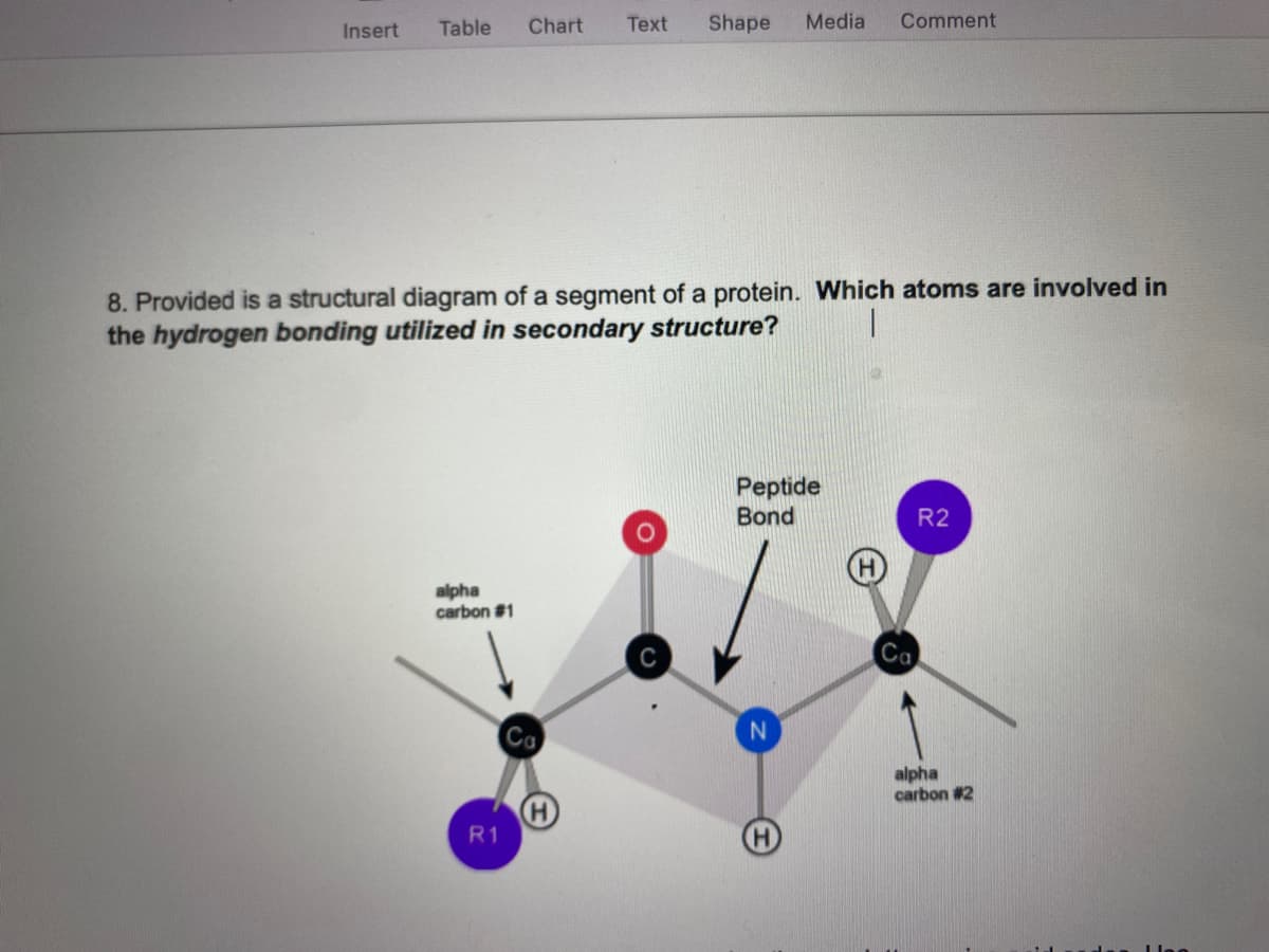 Insert
Chart
Table
alpha
carbon #1
R1
Text
8. Provided is a structural diagram of a segment of a protein. Which atoms are involved in
the hydrogen bonding utilized in secondary structure?
|
Co
Media
Shape
Peptide
Bond
Comment
N
Ca
R2
alpha
carbon #2