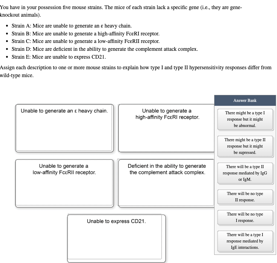 You have in your possession five mouse strains. The mice of each strain lack a specific gene (i.e., they are gene-
knockout animals).
• Strain A: Mice are unable to generate an & heavy chain.
• Strain B: Mice are unable to generate a high-affinity FCERI receptor.
• Strain C: Mice are unable to generate a low-affinity FCERII receptor.
• Strain D: Mice are deficient in the ability to generate the complement attack complex.
⚫ Strain E: Mice are unable to express CD21.
Assign each description to one or more mouse strains to explain how type I and type II hypersensitivity responses differ from
wild-type mice.
Unable to generate an ε heavy chain.
Unable to generate a
high-affinity FCεRI receptor.
Answer Bank
There might be a type I
response but it might
be abnormal.
Unable to generate a
low-affinity FcεRII receptor.
Deficient in the ability to generate
the complement attack complex.
Unable to express CD21.
There might be a type II
response but it might
be supressed.
There will be a type II
response mediated by IgG
or IgM.
There will be no type
II response.
There will be no type
I response.
There will be a type I
response mediated by
IgE interactions.