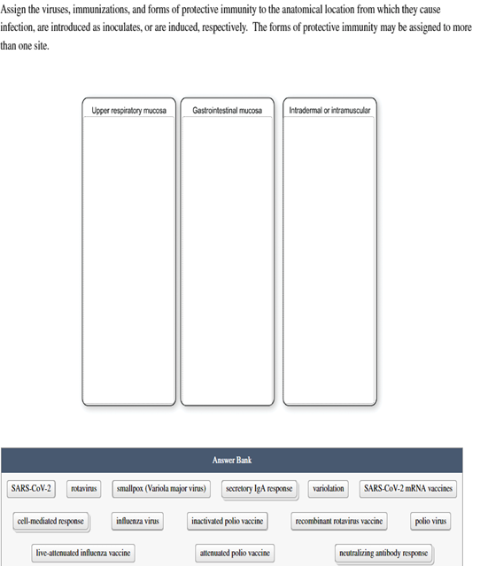 Assign the viruses, immunizations, and forms of protective immunity to the anatomical location from which they cause
infection, are introduced as inoculates, or are induced, respectively. The forms of protective immunity may be assigned to more
than one site.
Upper respiratory mucosa
Gastrointestinal mucosa
Intradermal or intramuscular
Answer Bank
SARS-CoV-2
rotavirus
smallpox (Variola major virus)
secretory IgA response
variolation
SARS-CoV-2 mRNA vaccines
cell-mediated response
influenza virus
inactivated polio vaccine
recombinant rotavirus vaccine
polio virus
live-attenuated influenza vaccine
attenuated polio vaccine
neutralizing antibody response