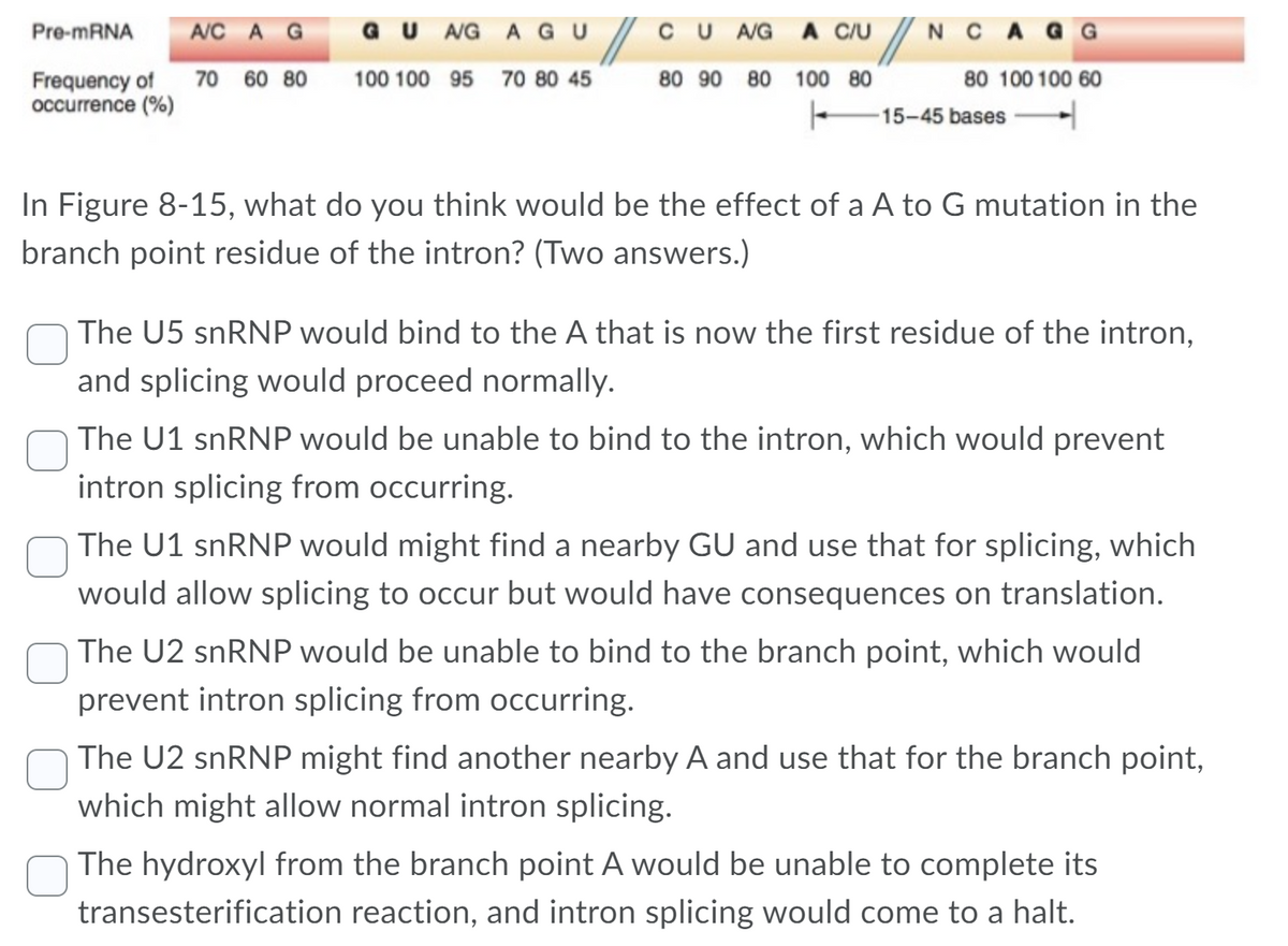 Pre-MRNA
A/C A G
GU AG A GU
CU A/G A C/U
NC AG G
Frequency of
occurrence (%)
70 60 80
100 100 95 70 80 45
80 90 80
100 80
80 100 100 60
15-45 bases
In Figure 8-15, what do you think would be the effect of a A to G mutation in the
branch point residue of the intron? (Two answers.)
The U5 snRNP would bind to the A that is now the first residue of the intron,
and splicing would proceed normally.
The U1 snRNP would be unable to bind to the intron, which would prevent
intron splicing from occurring.
The U1 snRNP would might find a nearby GU and use that for splicing, which
would allow splicing to occur but would have consequences on translation.
The U2 snRNP would be unable to bind to the branch point, which would
prevent intron splicing from occurring.
The U2 snRNP might find another nearby A and use that for the branch point,
which might allow normal intron splicing.
The hydroxyl from the branch point A would be unable to complete its
transesterification reaction, and intron splicing would come to a halt.

