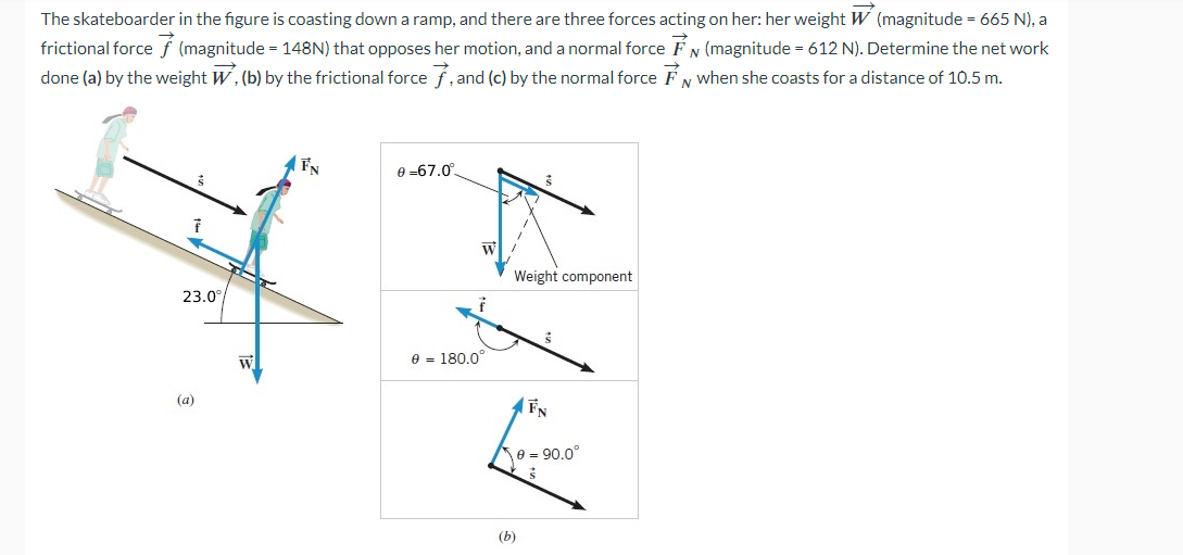 The skateboarder in the figure is coasting down a ramp, and there are three forces acting on her: her weight W (magnitude = 665 N), a
(magnitude = 612 N). Determine the net work
frictional force (magnitude = 148N) that opposes her motion, and a normal force
done (a) by the weight W. (b) by the frictional force, and (c) by the normal force when she coasts for a distance of 10.5 m.
N
f
23.0°
(a)
W
e-67.0°
W
= 180.0°
Weight component
(b)
FN
0=90.0°
Ś