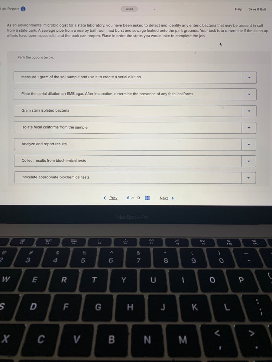 Lab Report A
Saved
Help
Save & Exit
As an environmental microbiologist for a state laboratory, you have been asked to detect and identify any enteric bacteria that may be present in soil
from a state park. A sewage pipe from a nearby bathroom had burst and sewage leaked onto the park grounds. Your task is to determine if the clean up
efforts have been successful and the park can reopen. Place in order the steps you would take to complete the job.
Rank the options below.
Measure 1 gram of the soil sample and use it to create a serial dilution
Plate the serial dilution on EMB agar. After incubation, determine the presence of any fecal coliforms
Gram stain isolated bacteria
Isolate fecal coliforms from the sample
Analyze and report results
Collect results from biochemical tests
Inoculate appropriate biochemical tests
< Prev
6 of 10
Next >
MacBook PrO
888
F4
DII
DD
F3
F7
FB
F9
F10
F11
%23
24
&
3
4.
5
7
W
Y
D
F
G
H
J
K
L
C
V
B
N
M
V
* CO
